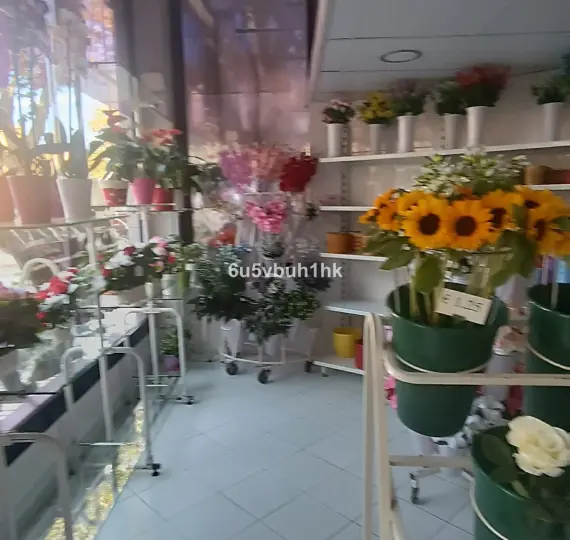 Sale of other in Marbella