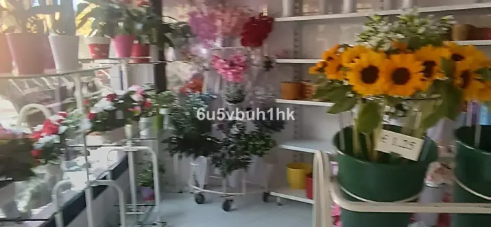 Продажа объекта в Marbella 3