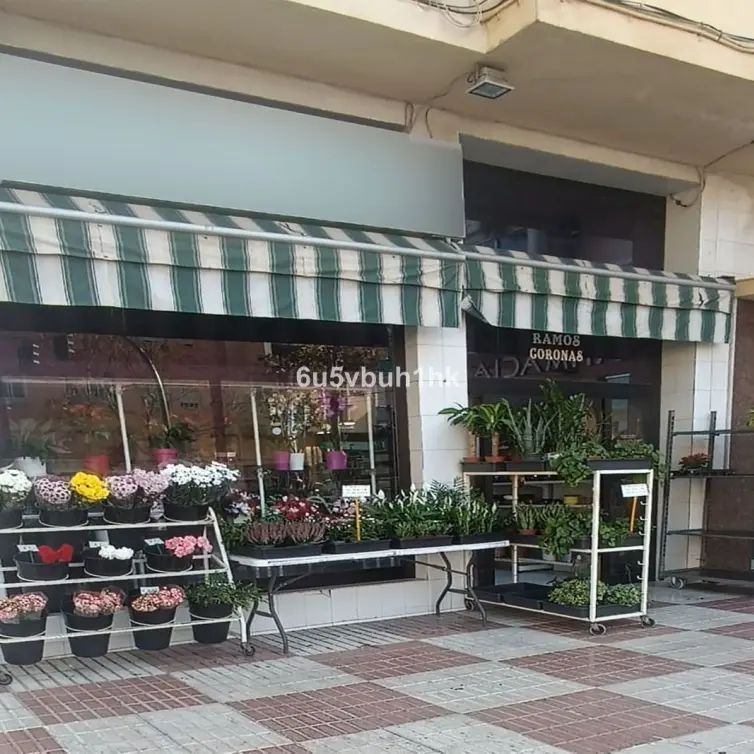 Sale of other in Marbella
