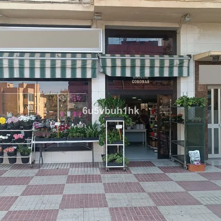 Sale of other in Marbella