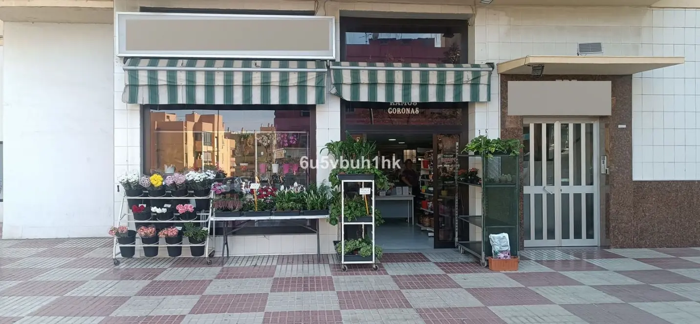 Sale of other in Marbella 1