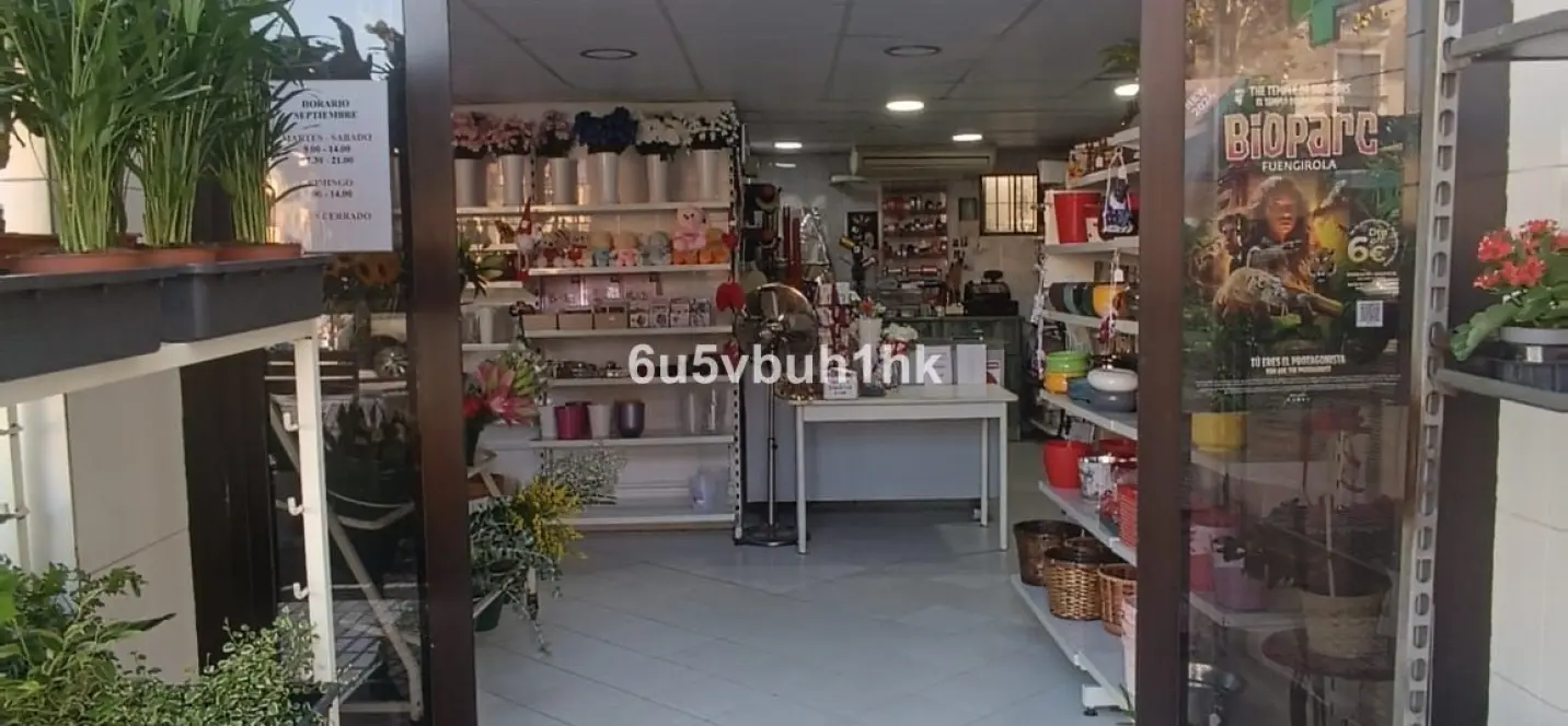Sale of other in Marbella 2