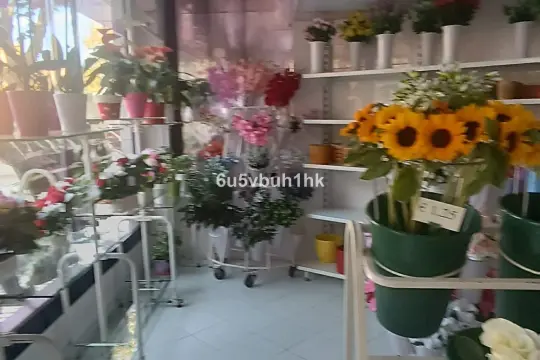 Image 4 thumb