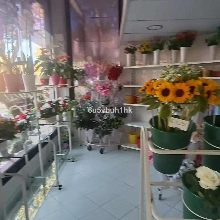 Sale of other in Marbella