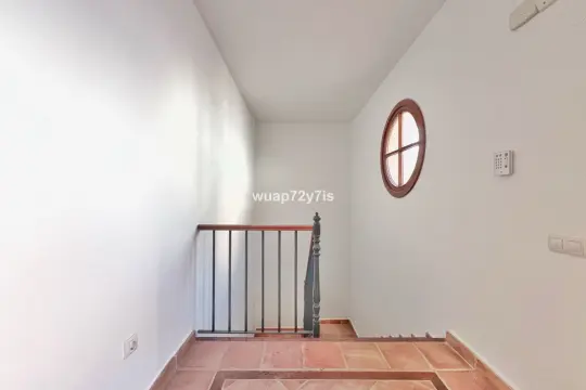 Image 4 thumb