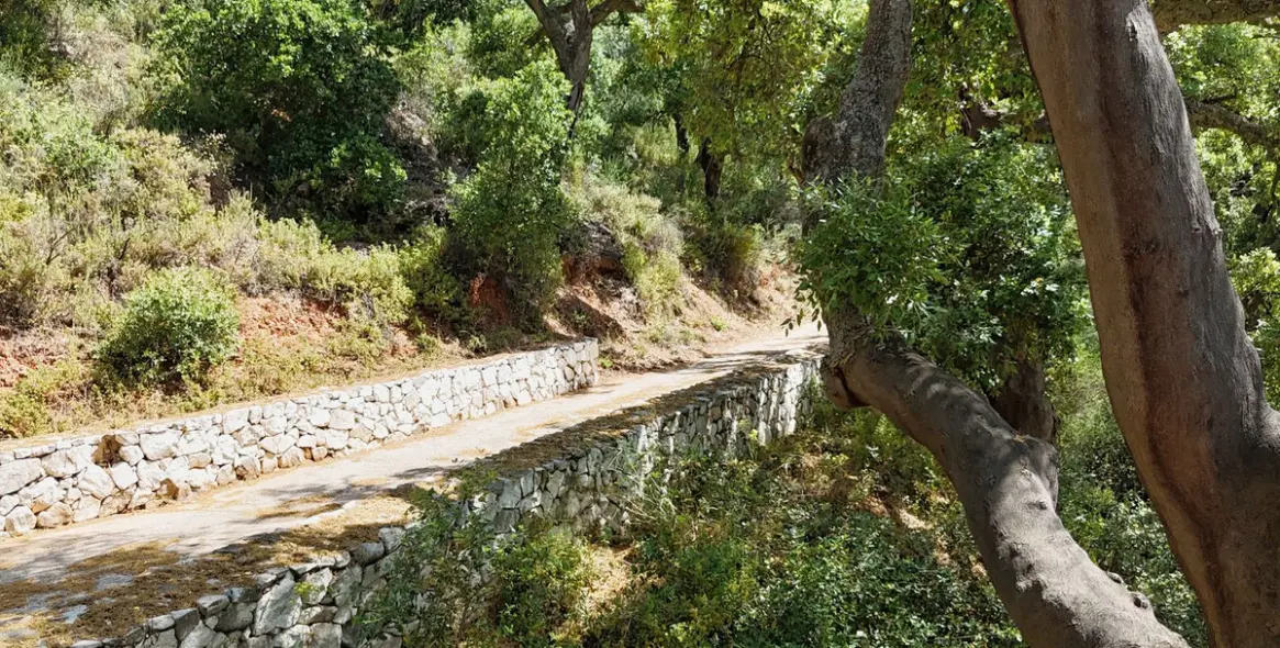 Продажа  отдельно стоящей виллы в Alhaurín el Grande 40