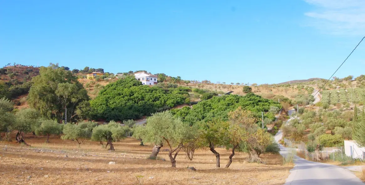 Продажа финки в Coín 7