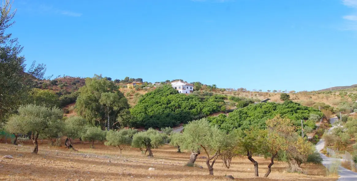 Продажа финки в Coín 10