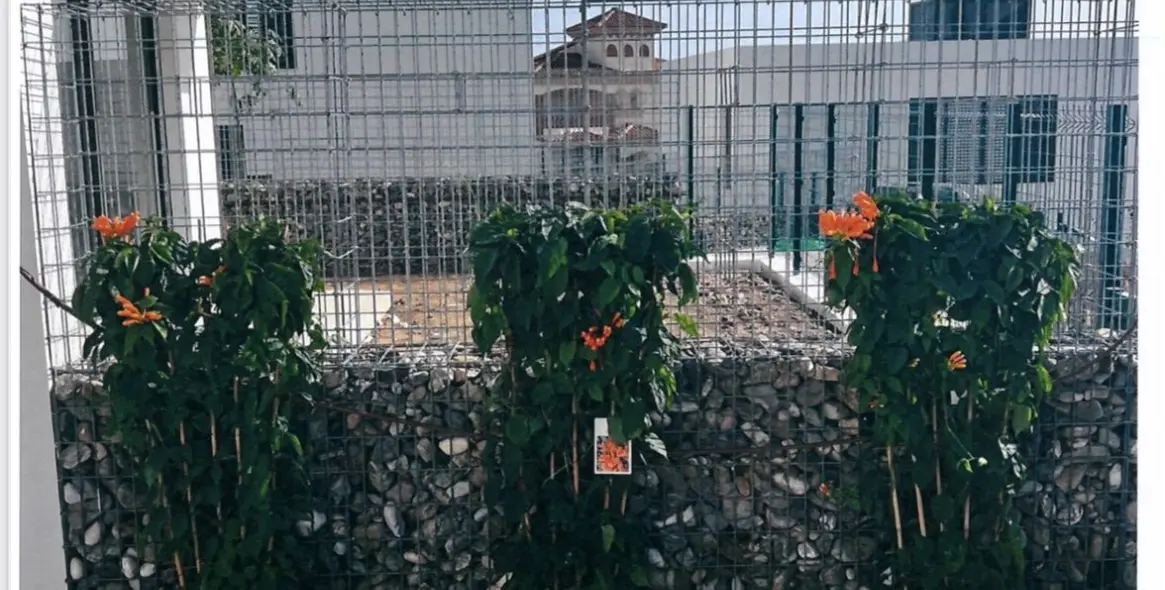 Продажа дома на две семьи в Riviera del Sol 31