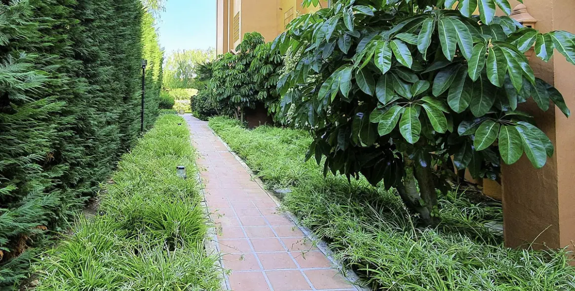 Sale of middle floor apartment in Los Flamingos 20