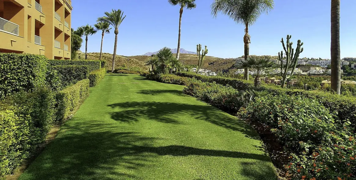 Sale of middle floor apartment in Los Flamingos 24