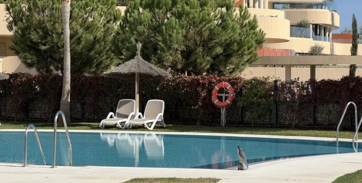 Sale of middle floor apartment in Higueron 24