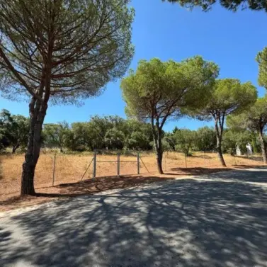 Продажа  жилого участка в Sotogrande Alto