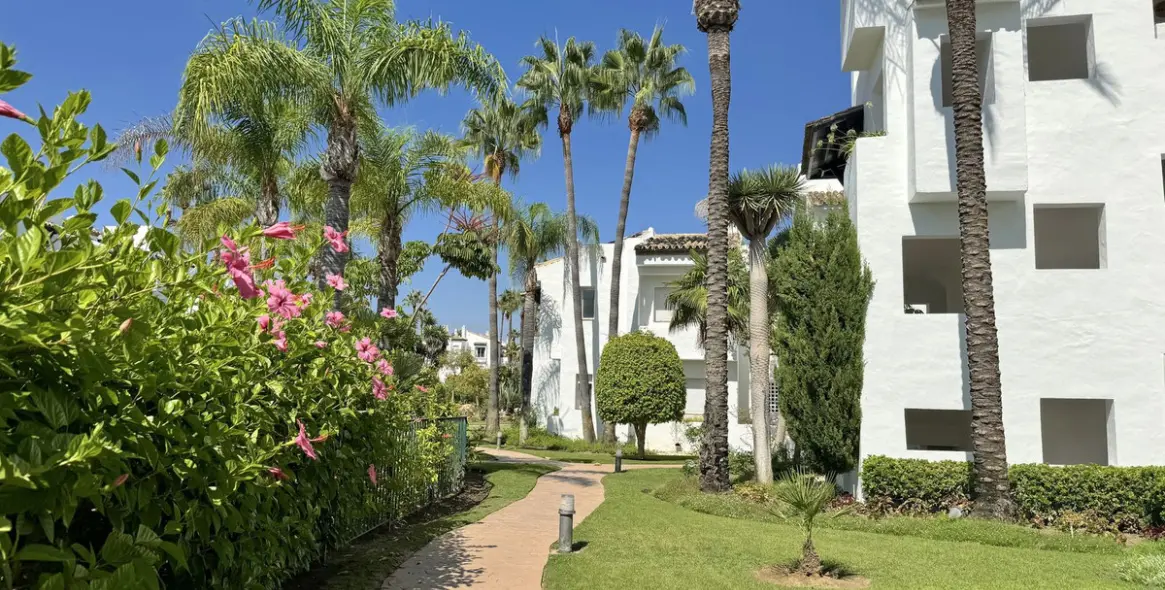 Sale of ground floor apartment in Costalita 37