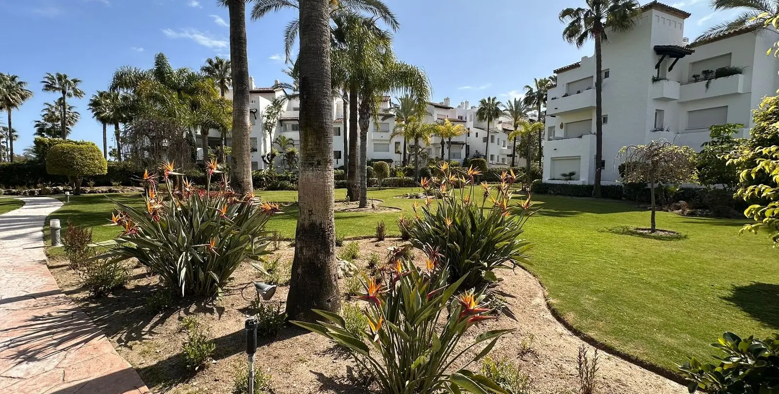 Sale of ground floor apartment in Costalita 33