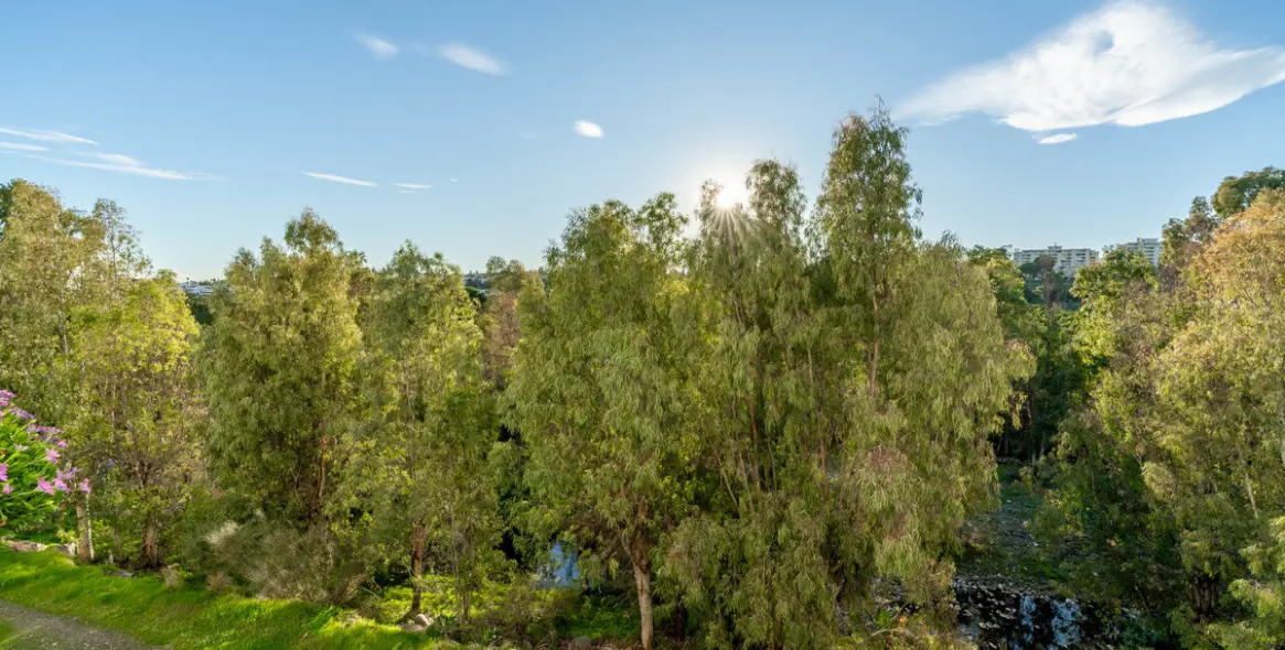 Продажа апартаментов на первом этаже в Guadalmina Alta 27