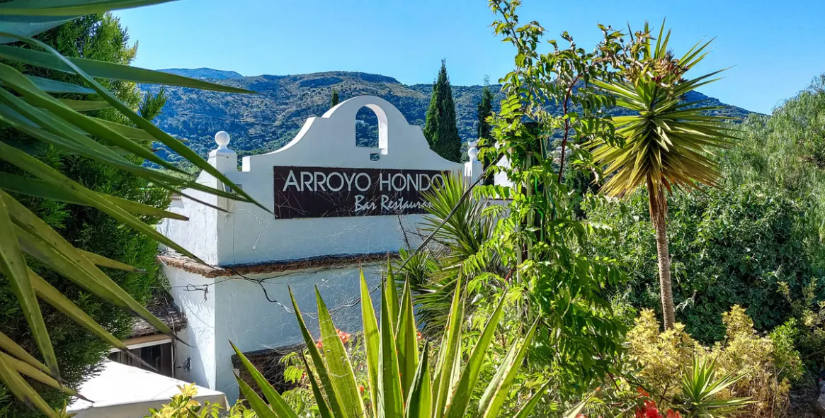 Продажа ресторана в Casares 2