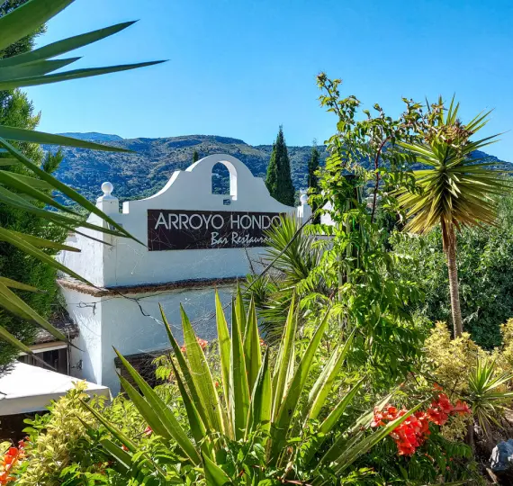 Продажа ресторана в Casares