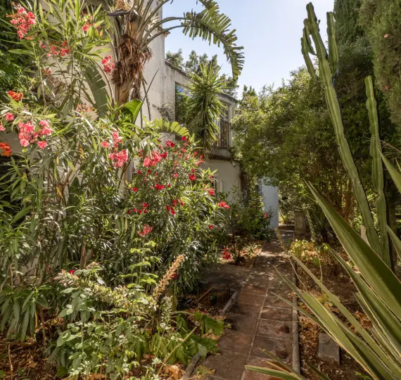 Продажа ресторана в Casares