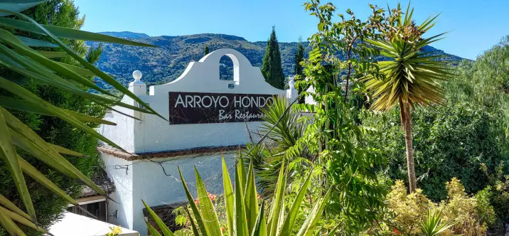 Sale of restaurant in Casares 0