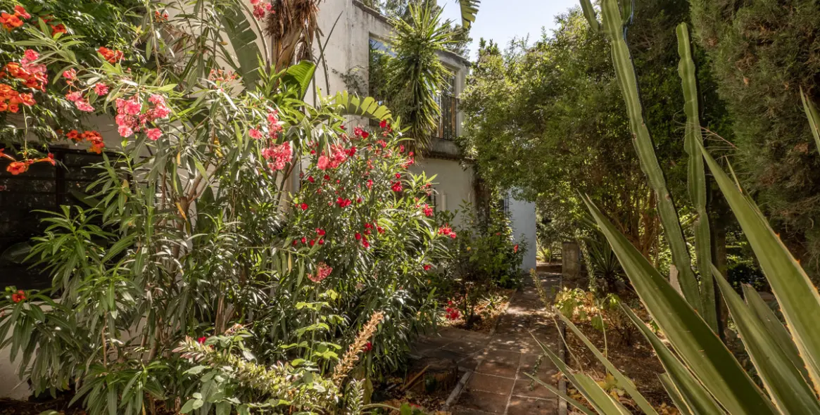 Sale of restaurant in Casares 2