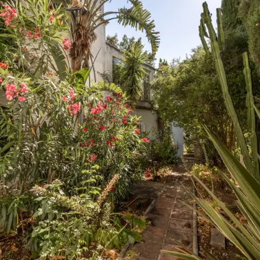 Sale of restaurant in Casares