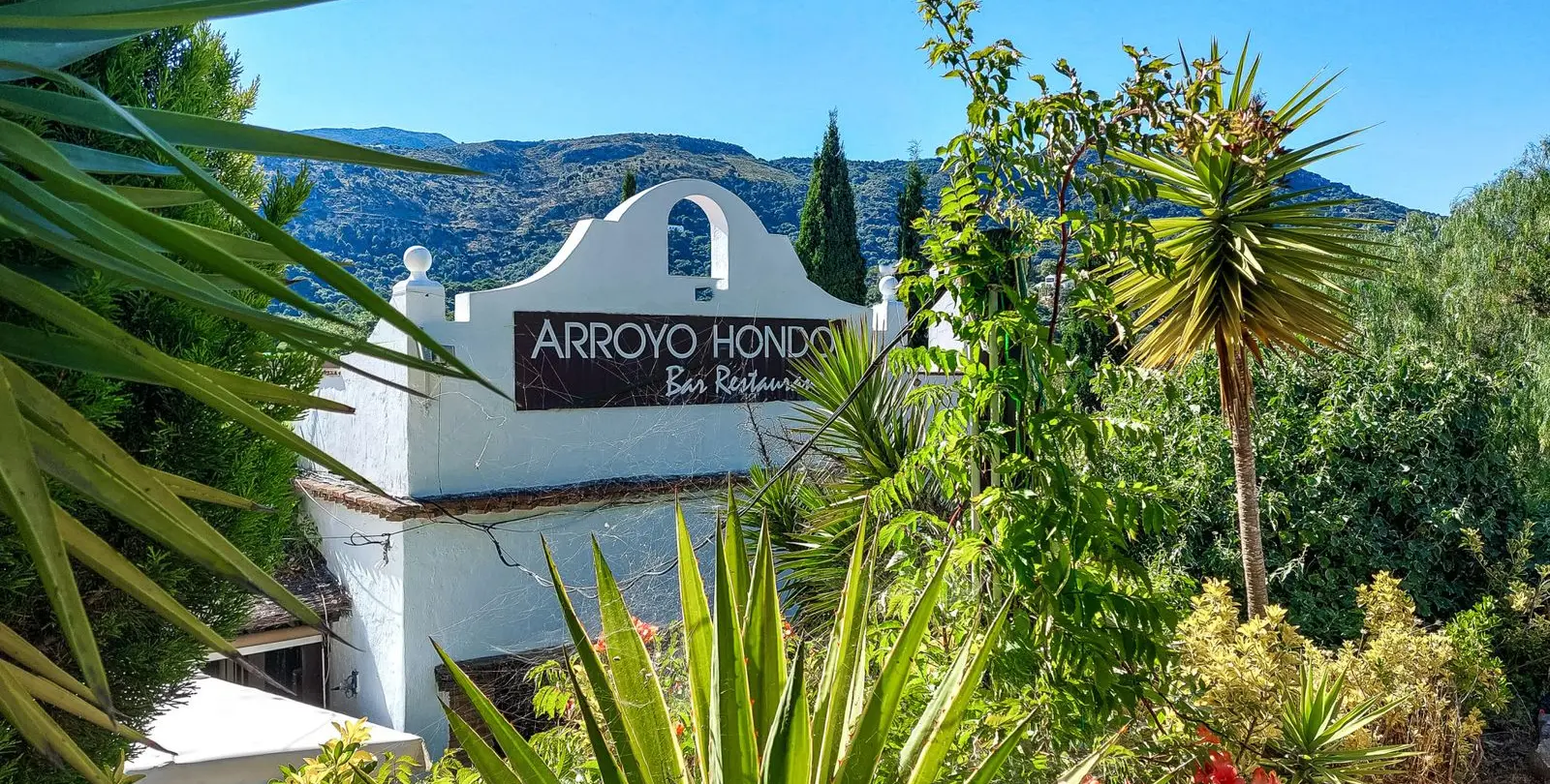 Sale of restaurant in Casares 1