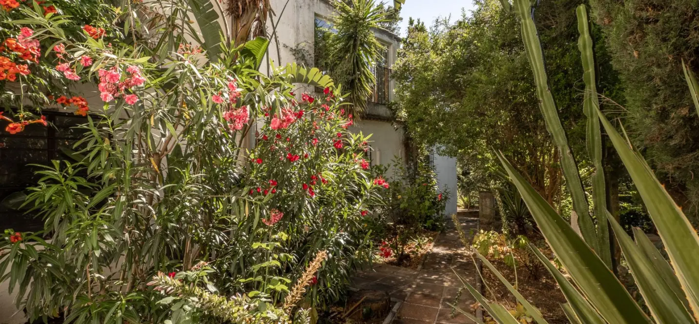 Продажа ресторана в Casares 1