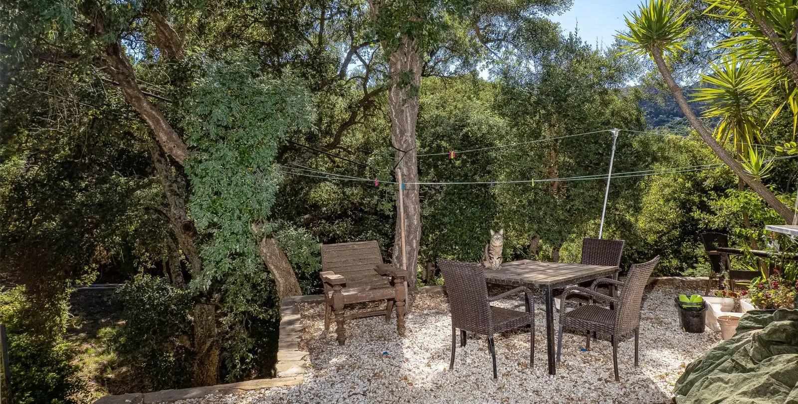 Sale of restaurant in Casares 31