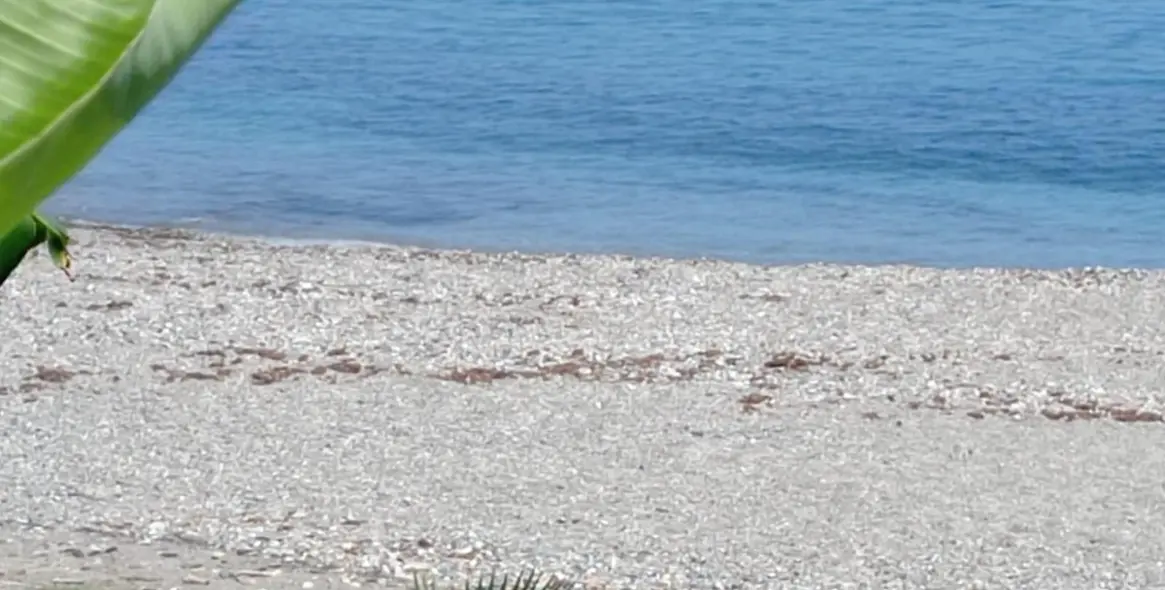 Sale of ground floor apartment in Benalmadena Costa 14