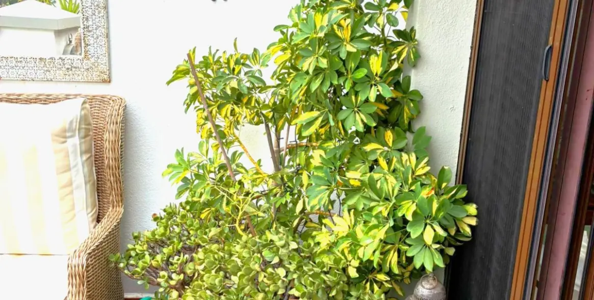 Продажа пентхауса в Los Arqueros 74