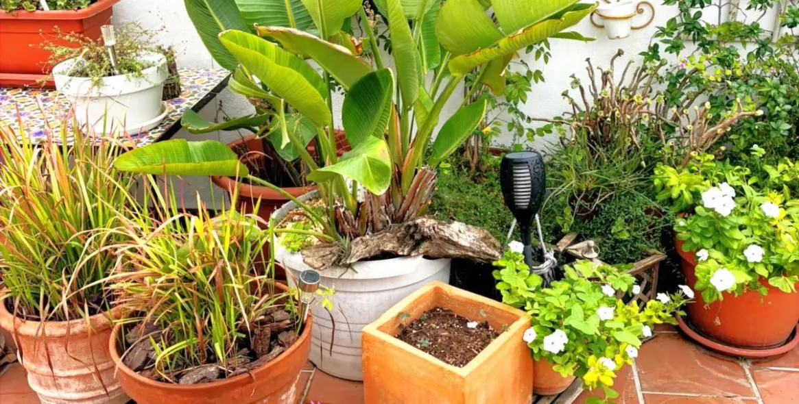 Продажа пентхауса в Los Arqueros 83