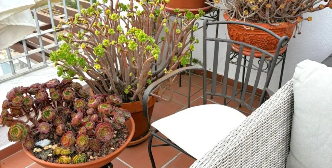 Продажа пентхауса в Los Arqueros 85