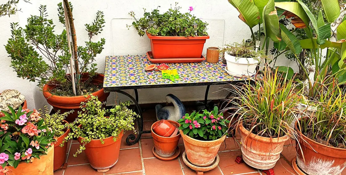 Продажа пентхауса в Los Arqueros 91