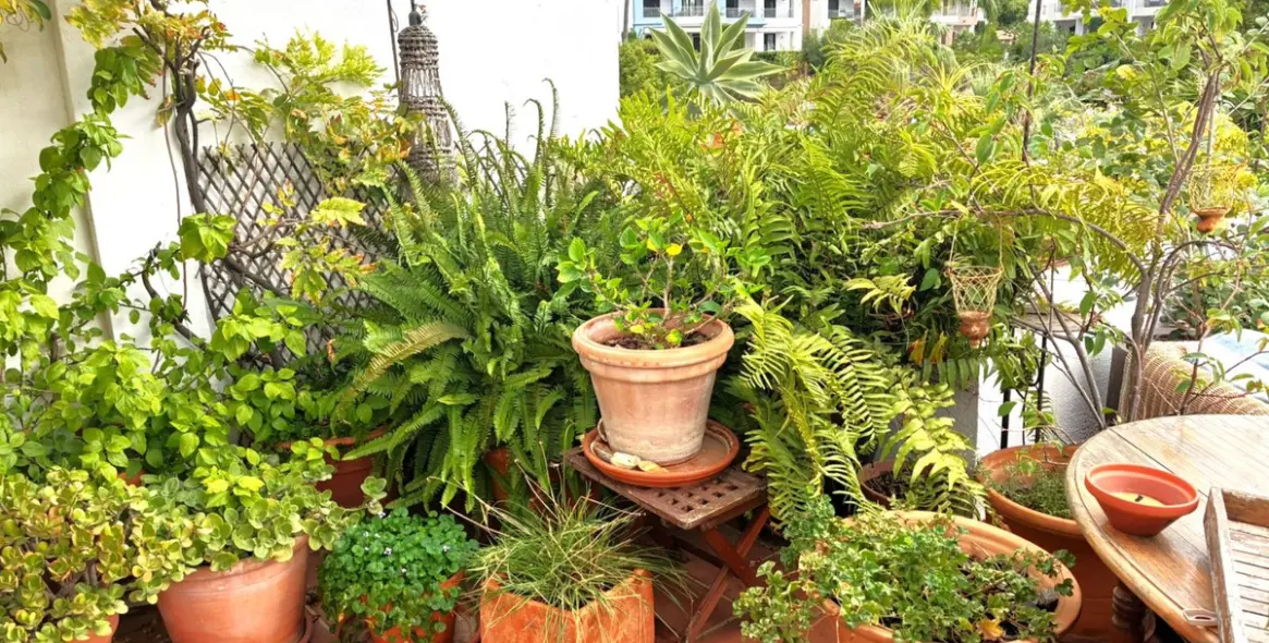 Продажа пентхауса в Los Arqueros 96