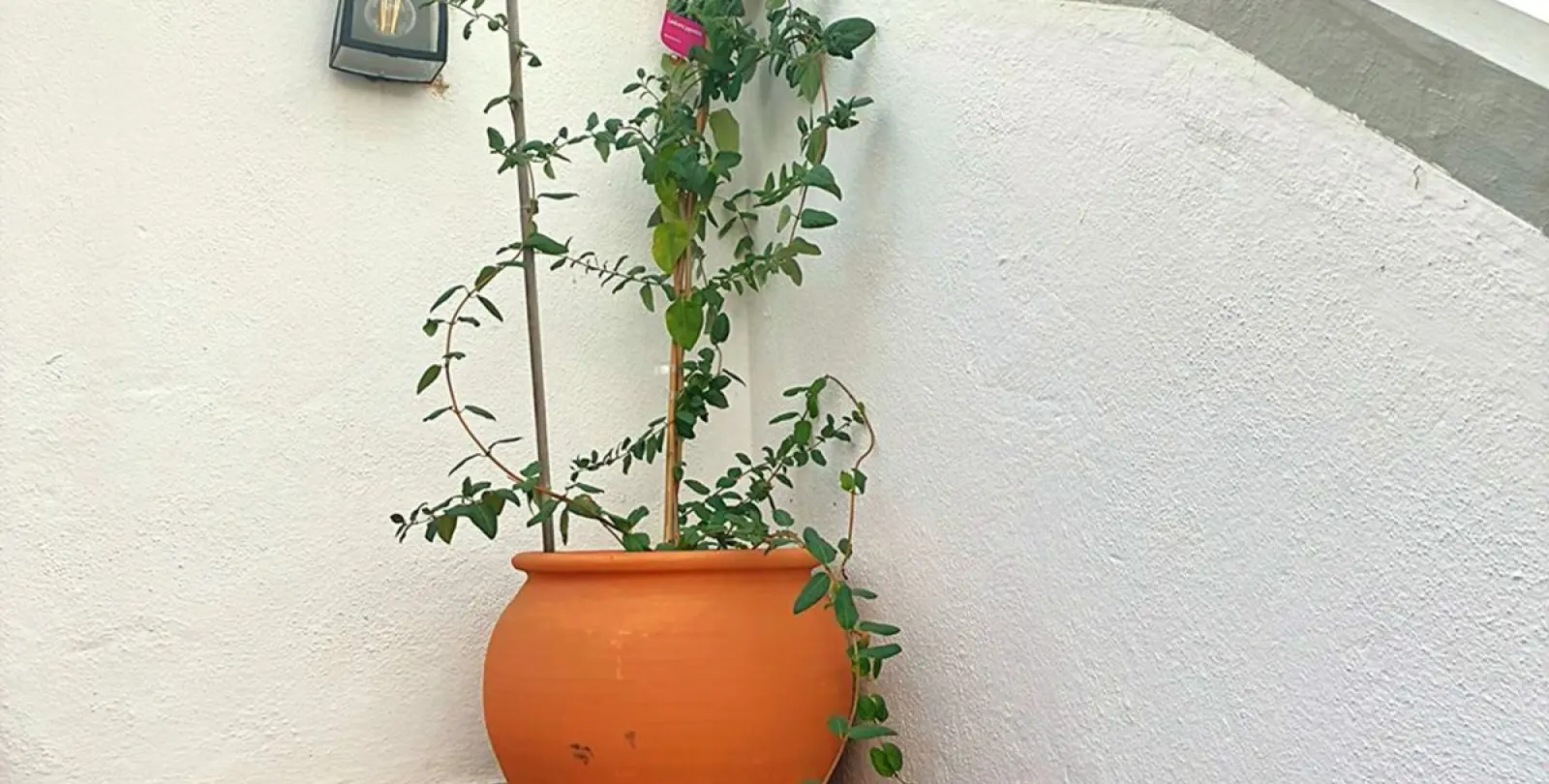 Продажа пентхауса в Los Arqueros 143