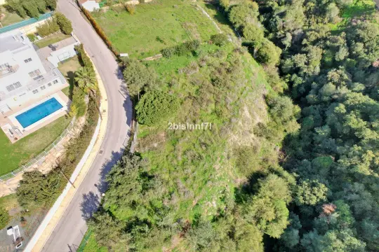 Image 4 thumb