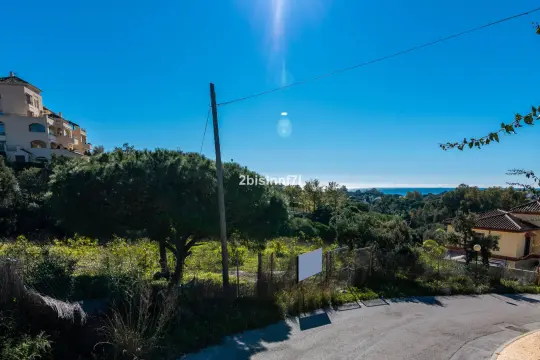 Image 6 thumb
