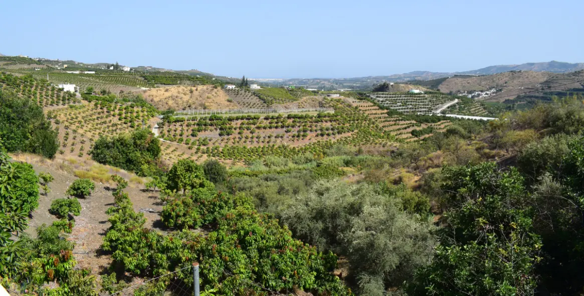 Продажа финки в Vélez-Málaga 2