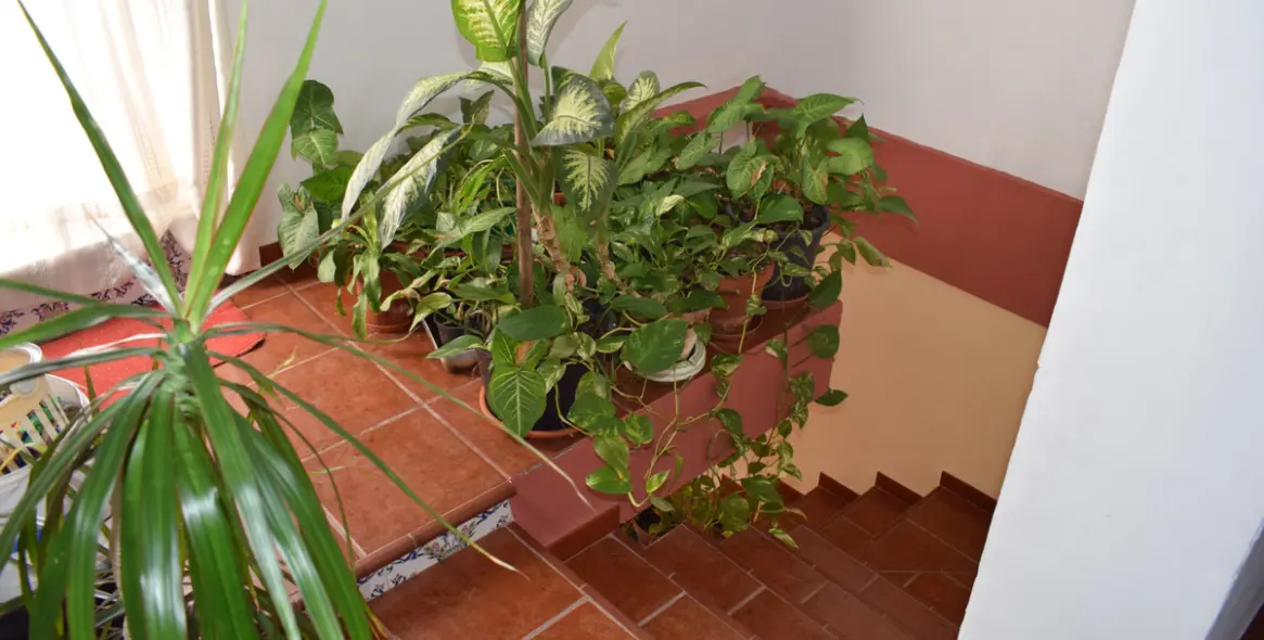 Продажа финки в Vélez-Málaga 24