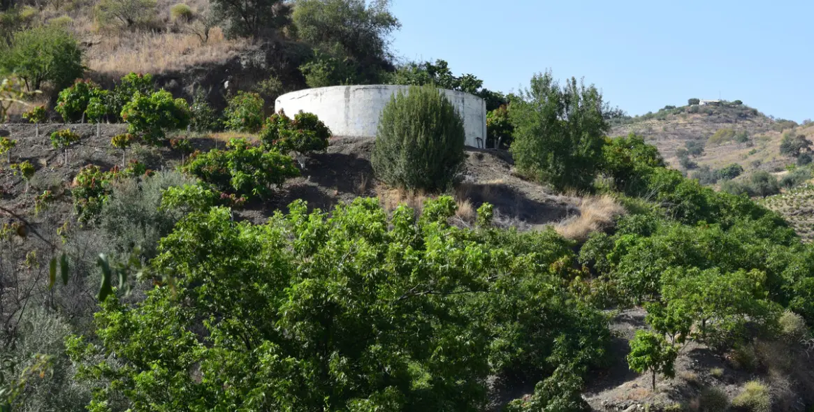 Продажа финки в Vélez-Málaga 50