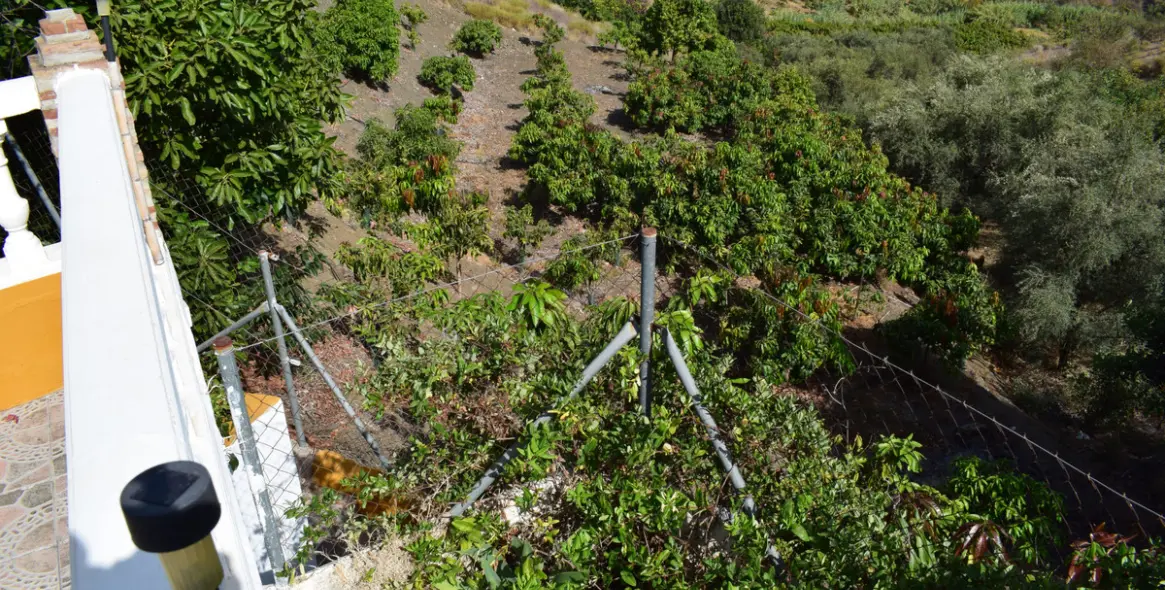 Продажа финки в Vélez-Málaga 51