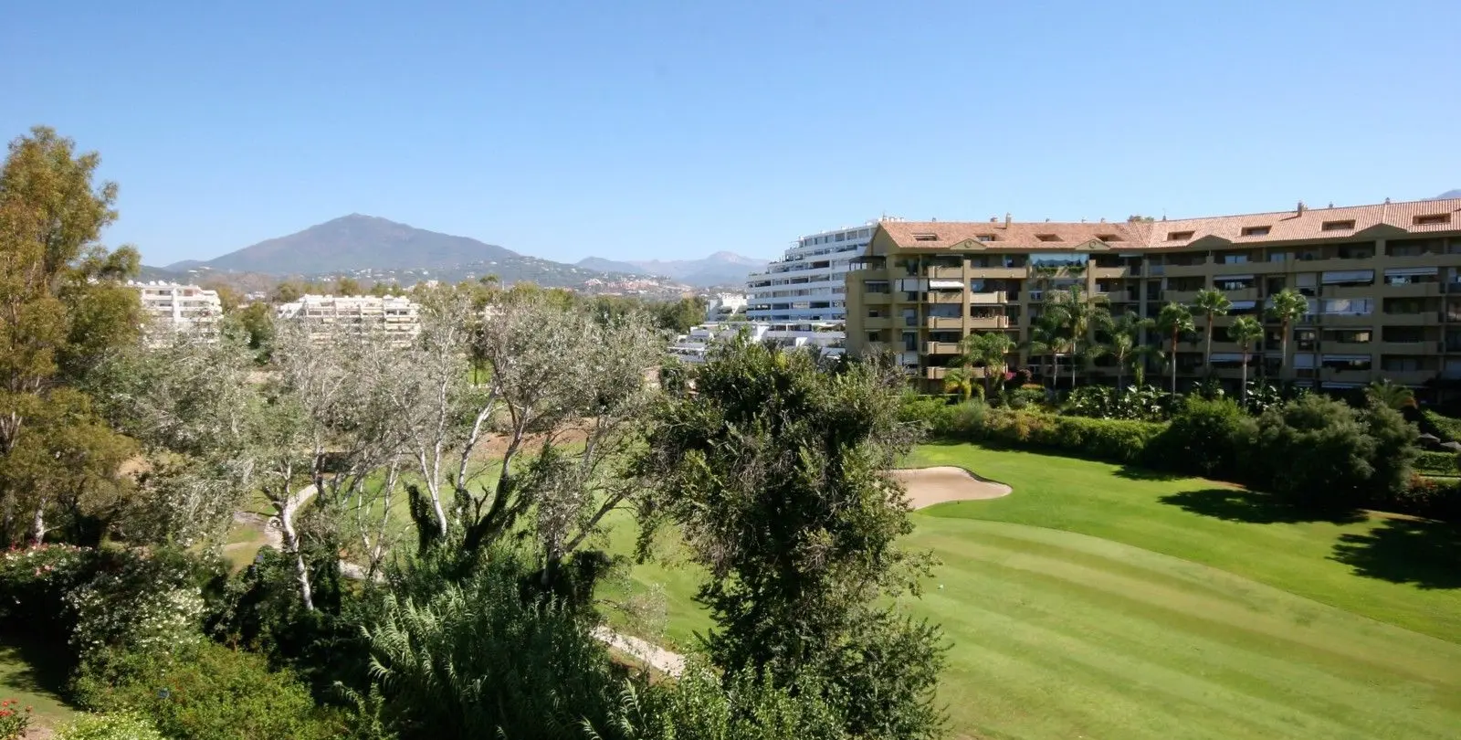 Продажа пентхауса в Guadalmina Alta 7