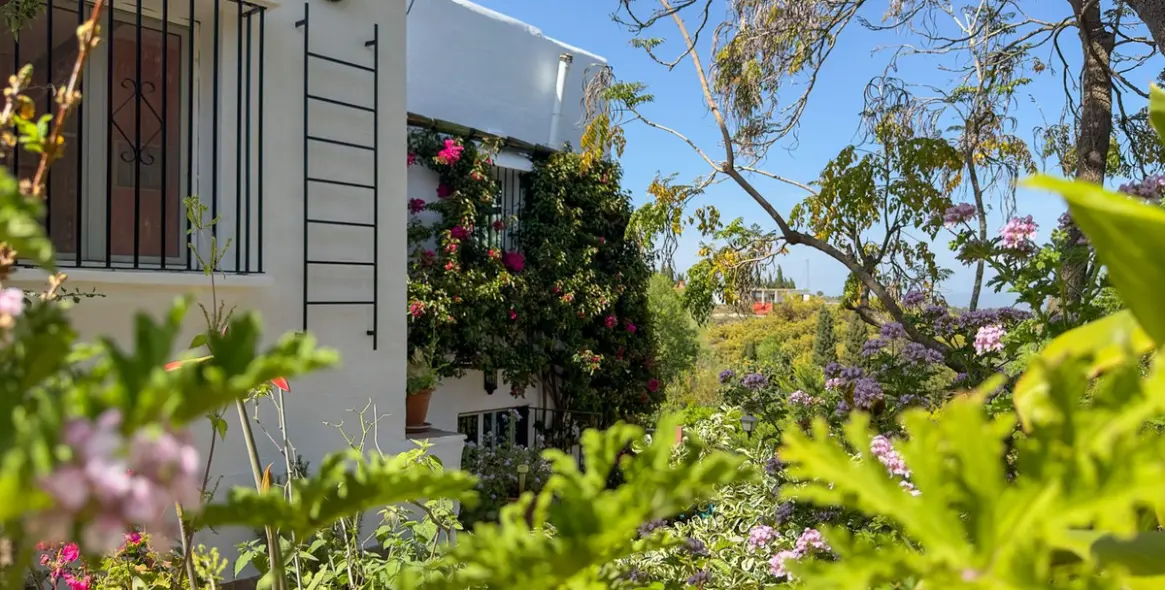 Sale of finca - cortijo in Alhaurín el Grande 25