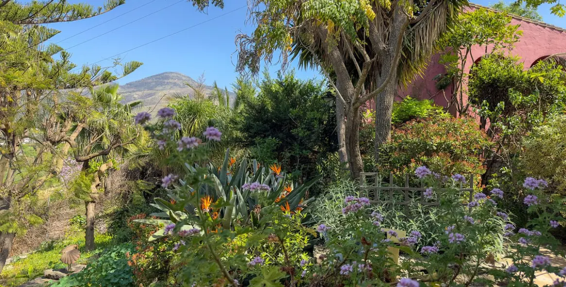 Sale of finca - cortijo in Alhaurín el Grande 39