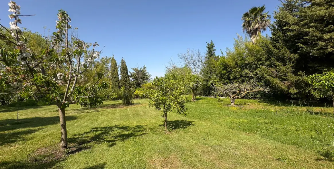 Sale of finca - cortijo in Alhaurín el Grande 48