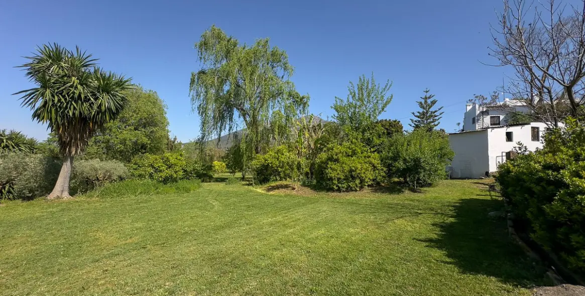 Sale of finca - cortijo in Alhaurín el Grande 50