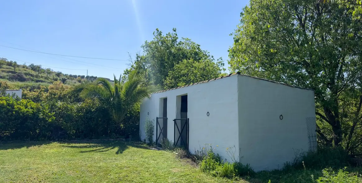 Sale of finca - cortijo in Alhaurín el Grande 51