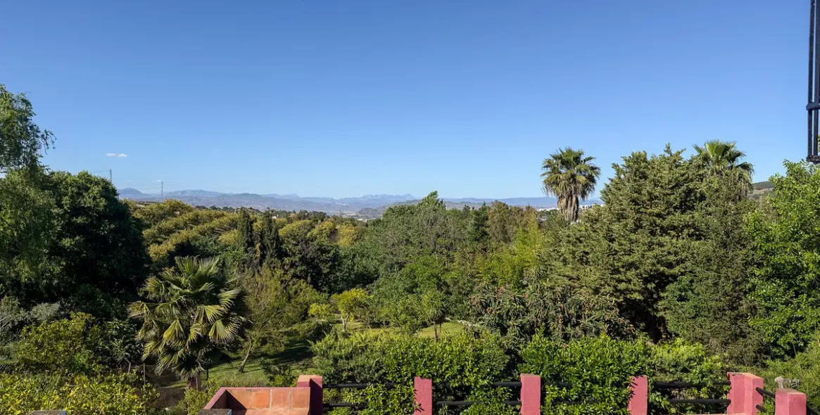 Sale of finca - cortijo in Alhaurín el Grande 60