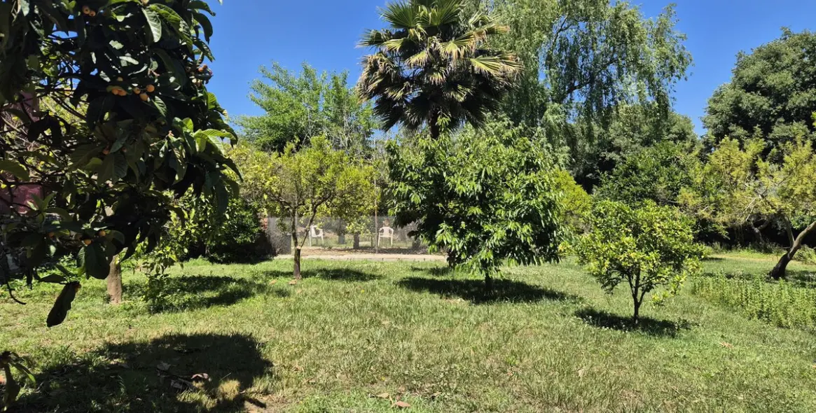 Продажа финки в Alhaurín el Grande 31